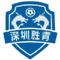 Shenzhen Shengqing Logo