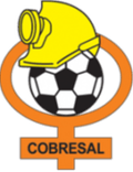 Cobresal(w) Logo