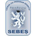 LPS Sebes U19 Logo