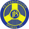 Runner up logo
