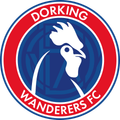 Dorking Wanderers (w) Logo