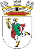 Idrija Logo
