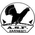ACS Olimpic Zarnesti II Logo