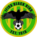 Ifira Black Bird Logo