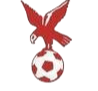 Winner logo