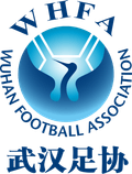 Wuhan Men's U13 Logo