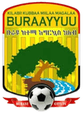 Burayu FC Logo