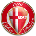 Runner up logo