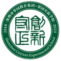 Shenzhen Cuiyuan Experimental School U15 Logo