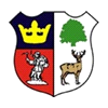 Cinderford Town Logo