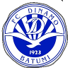 Dinamo Batumi U19 Logo