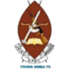 Young Simba Logo