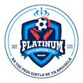 Platinum City Logo
