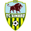 Zimbru Chisinau W Logo