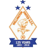 Đội tuyển nữ Wellington United Diamonds Logo