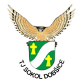 Sokol Dobsice Logo