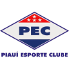 Piaui PI (Youth) Logo