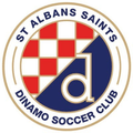 St Albans Saints U21 Logo