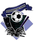 Pinggera Dogisik FC Logo