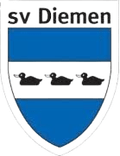 SV Diemen Youth Logo