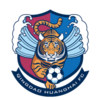 Qingdao FC Reserves Logo