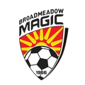 Broadmeadow Magic Logo