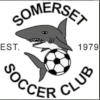 Somerset Reserves Logo