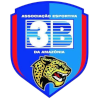 3B Amazonia(w) Logo