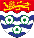 Runner up logo