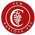 Karlova Ves U19 Logo