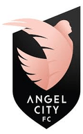 ACFC Logo
