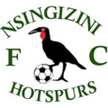Nsingizini Hotspurs Logo