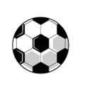 TJ SH Jiretin/Litvinov Logo