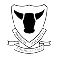 Ramhlun Athletic Logo