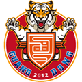 Guangdong Southern Tigers(2012-2020) Logo