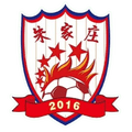 Shandong Zhujiazhuang Logo