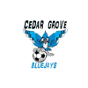 Bluebird FC Logo