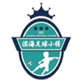 Tianjin Binhai U13 Logo
