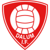 ดาลุม Logo