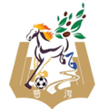 Pu'er Team Logo