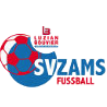 Zams Logo