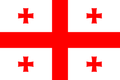 Georgia Indoor Soccer Logo