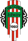 Viktoria Zizkov B Logo