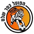 Hapoel Kfar Shalem U19 Logo