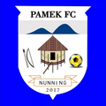 Pamek Logo