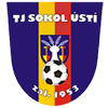 TJ Sokol Usti Logo