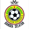 Bangka Selatan Logo