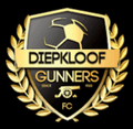 Diepkloof FC (w) Logo