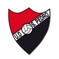 UD San Pedro Logo