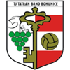 TJ Tatran Bohunice Logo